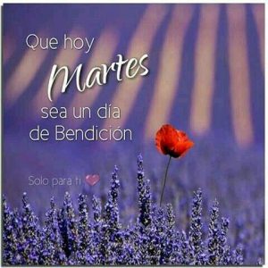 Feliz Martes Frases Cristianas Para Whatsapp Gratis