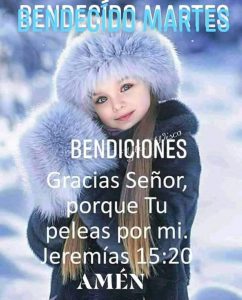 Feliz Martes Frases De Reflexion Para Descargar Gratis para celular