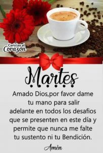 Feliz Martes Frases Para Whatsapp Gratis