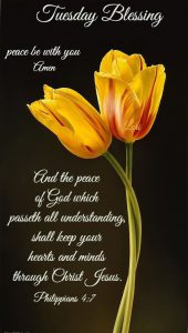 Feliz Martes Frio Para Whatsapp Gratis para celular