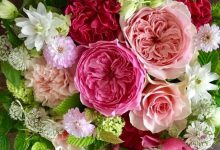 Photo of Feliz Martes Gracias A Dios