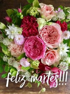Feliz Martes Gracias A Dios