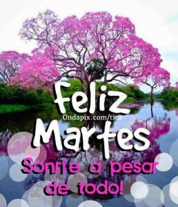 Feliz Martes Gracioso Para Descargar Gratis