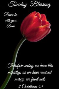 Feliz Martes Lluvioso