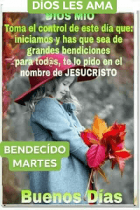 Feliz Martes Mi Vida Para Whatsapp Gratis