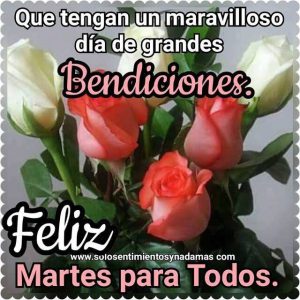 Feliz Martes Para Todos