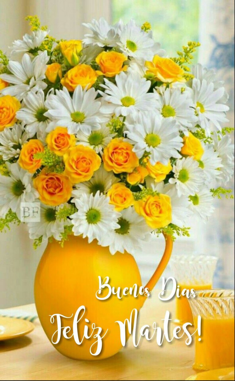 Feliz Martes Para Todos Para Whatsapp Gratis
