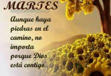 Photo of Feliz Martes Para Whatsapp Para Descargar Gratis