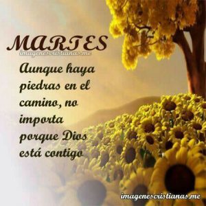 Feliz Martes Para Whatsapp Para Descargar Gratis