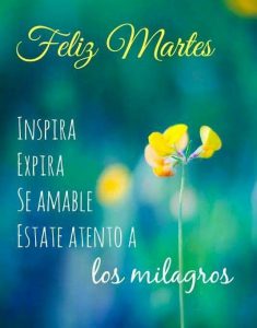 Feliz Martes Preciosa Para Descargar Gratis