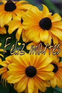 Feliz Martes Santo Para Descargar Gratis para celular