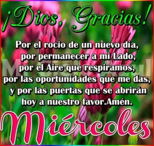Feliz miércoles a todos mis amigos para WhatsApp gratis
