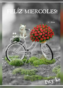 Feliz miércoles bendiciones para descargar gratis