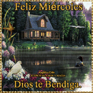 Feliz miércoles chistoso