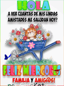 Feliz miércoles chistoso gif para Facebook gratis