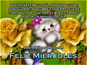 Feliz Miercoles Con Dios
