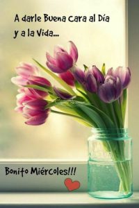 Feliz Miercoles Cristiano para celular