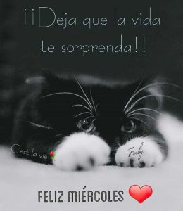 Feliz Miercoles De Navidad Para Facebook Gratis para celular