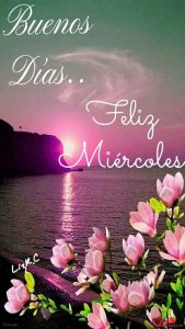 Feliz Miercoles Gracioso Para Facebook Gratis para celular