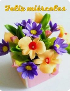 Feliz Miercoles Gracioso para celular