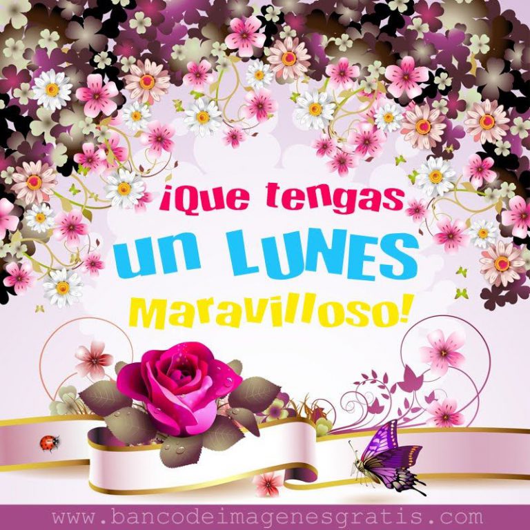 Feliz Noche De Lunes Para Whatsapp Gratis para celular