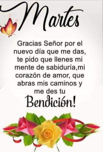 Feliz Noche De Martes