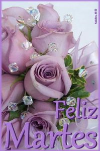 Feliz Noche De Martes Para Descargar Gratis para celular