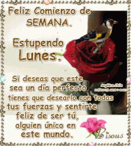 Feliz noche lunes para Facebook gratis para celular
