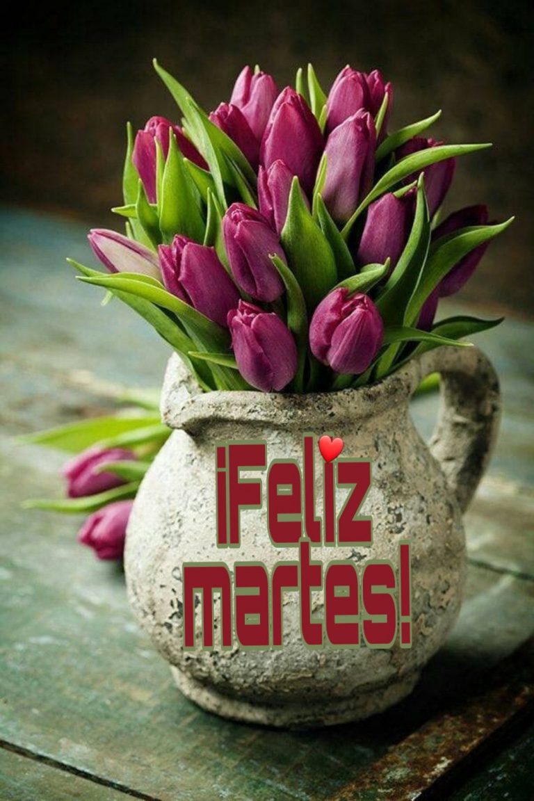 Feliz Y Bendecido Martes Para Descargar Gratis