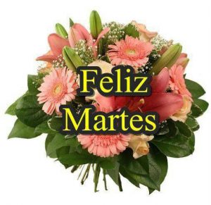 Feliz Y Bendecido Martes Para Whatsapp Gratis