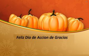 Feliz dia de accion de gracias amiga