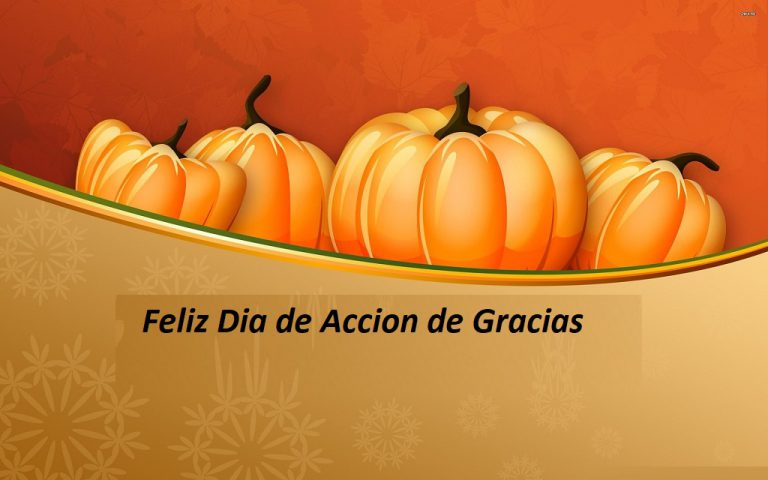 Feliz dia de accion de gracias amiga