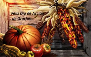 Feliz dia de accion de gracias celular