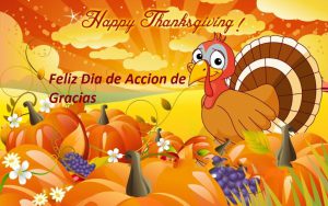 Feliz dia de accion de gracias facebook