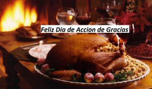 Feliz dia de accion de gracias mi amor