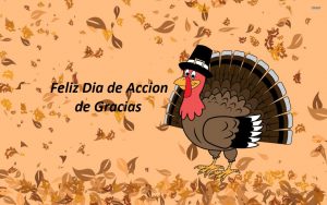 Feliz dia de accion de gracias para mi hermana