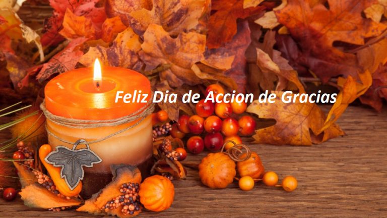 Feliz dia de accion de gracias whatsapp