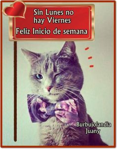 Feliziniciodesemana Para Descargar