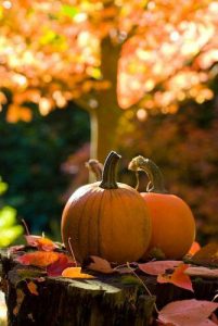 Figuras De Halloween Para Colorear