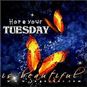 Flores De Feliz Martes