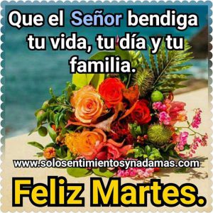 Flores De Feliz Martes Para Descargar Gratis para celular