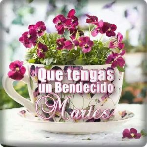 Frases Bonitas Del Martes para celular