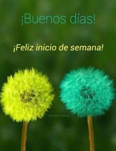 Frases Bonitas Inicio De Semana Para Whatsapp Celular