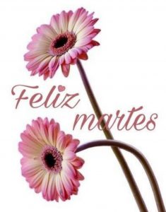 Frases Bonitas Para El Martes para celular