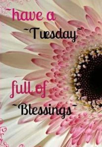 Frases Bonitas Para Hoy Martes Para Whatsapp Gratis