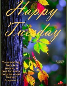 Frases Buen Martes Para Whatsapp Gratis para celular