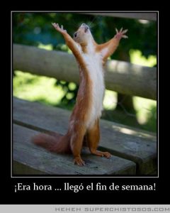 Frases Cortas De Inicio De Semana Para Whatsapp Celular