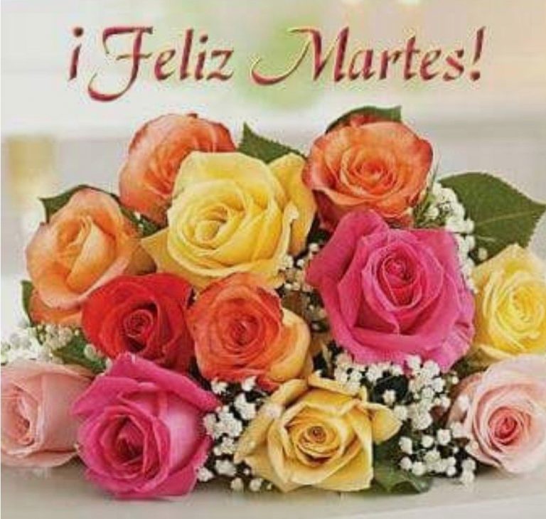 Frases Cristianas De Feliz Martes para celular