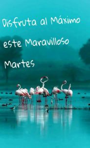 Frases Cristianas Del Dia Martes Para Descargar Gratis