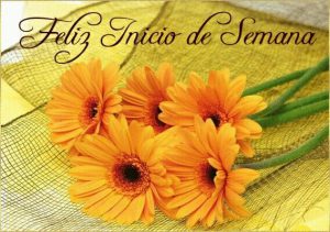 Frases Cristianas Inicio De Semana